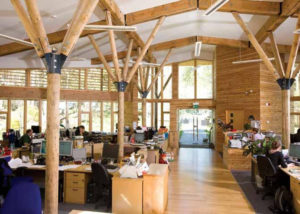 inside a cafe with timber pillars, walls and roof struts